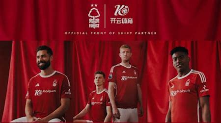 开云（中国）kaiyun·官方网站