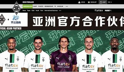开云（中国）kaiyun·官方网站